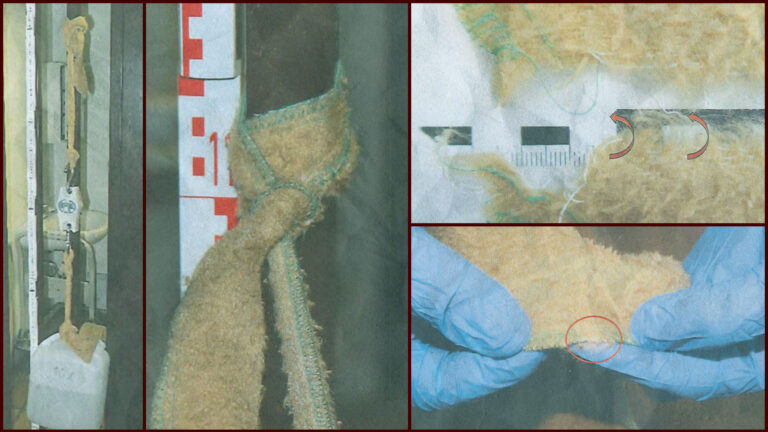 Der Tod von Rooble Warsame in polizeilichem Gewahrsam: Abschluss der Untersuchung im Todesfall Rooble Warsame.